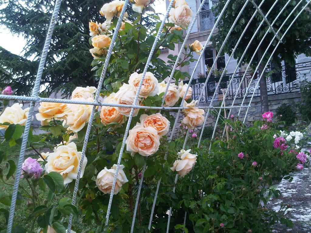 B&B En Provence- Villa Saint Marc Forcalquier Εξωτερικό φωτογραφία
